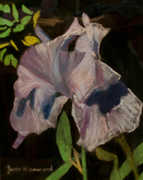 Purple Iris Pastel