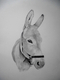 Fall Fair Donkey
